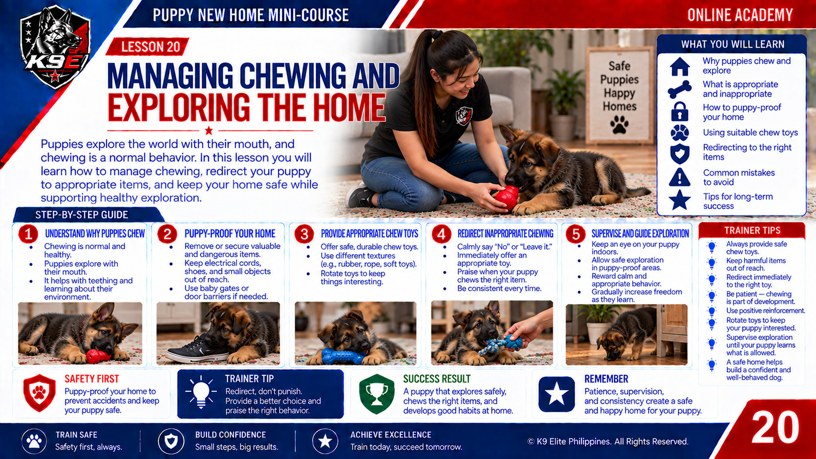Introducing a Puppy to a New Home training